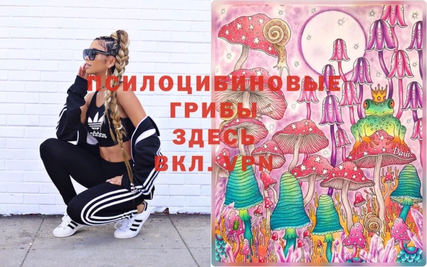эйфоретик Вязники