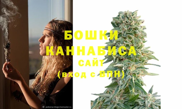 эйфоретик Вязники