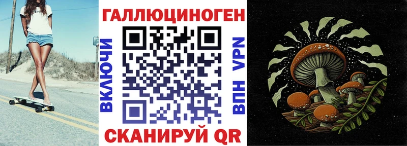 закладки  Камышин  Галлюциногенные грибы Psilocybe 